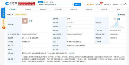愛奇藝在重慶成立科技公司，拓展創(chuàng)業(yè)空間與信息系統(tǒng)集成服務